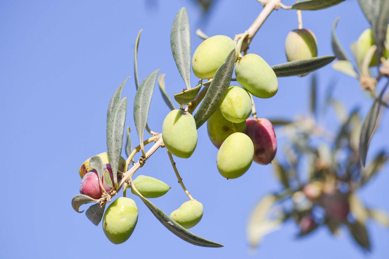 Γυναίκα σε ηλιόλουστη κοιλάδα με φρέσκα προϊόντα